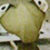 Profile picture of Samir